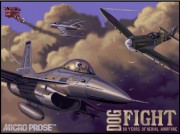 Air Duel 80 Years of Dogfighting
