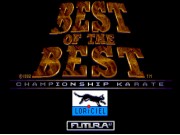 Best of the Best Championship Karate on Msdos