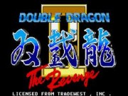 Double Dragon II: The Revenge on Msdos