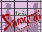 First Samurai on Msdos