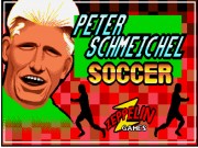 Peter Schmeichel Soccer