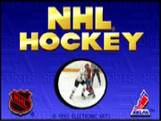 NHL 94 on Msdos