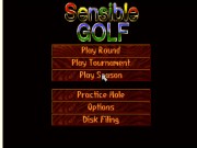 Sensible Golf
