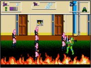 Teenage Mutant Ninja Turtles II: The Arcade Game on Msdos
