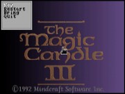 The Magic Candle 3