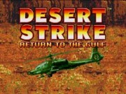 Desert Strike - Return to the Gulf on Msdos