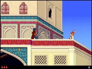 Prince of Persia 2 - The Shadow & The Flame on Msdos