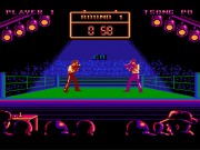 Best of the Best:Championship Karate on nes