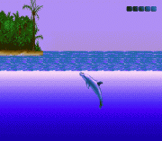 ECCO – The Tides of Time