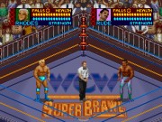 WCW Super Brawl