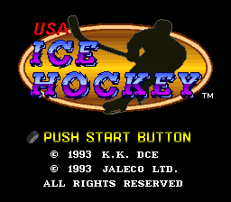 USA Ice Hockey (Japan) (Rev A)