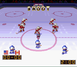 USA Ice Hockey (Japan)
