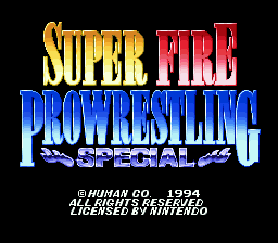 Super Fire Pro Wrestling Special (Japan)