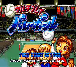 Multi Play Volleyball (Japan)