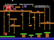 Donkey Kong Jr. (A&S NES Hack)