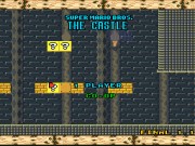 Super Mario Bros. - The Castle